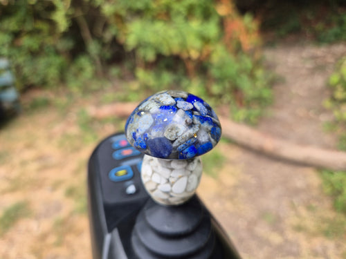 Blue Cap